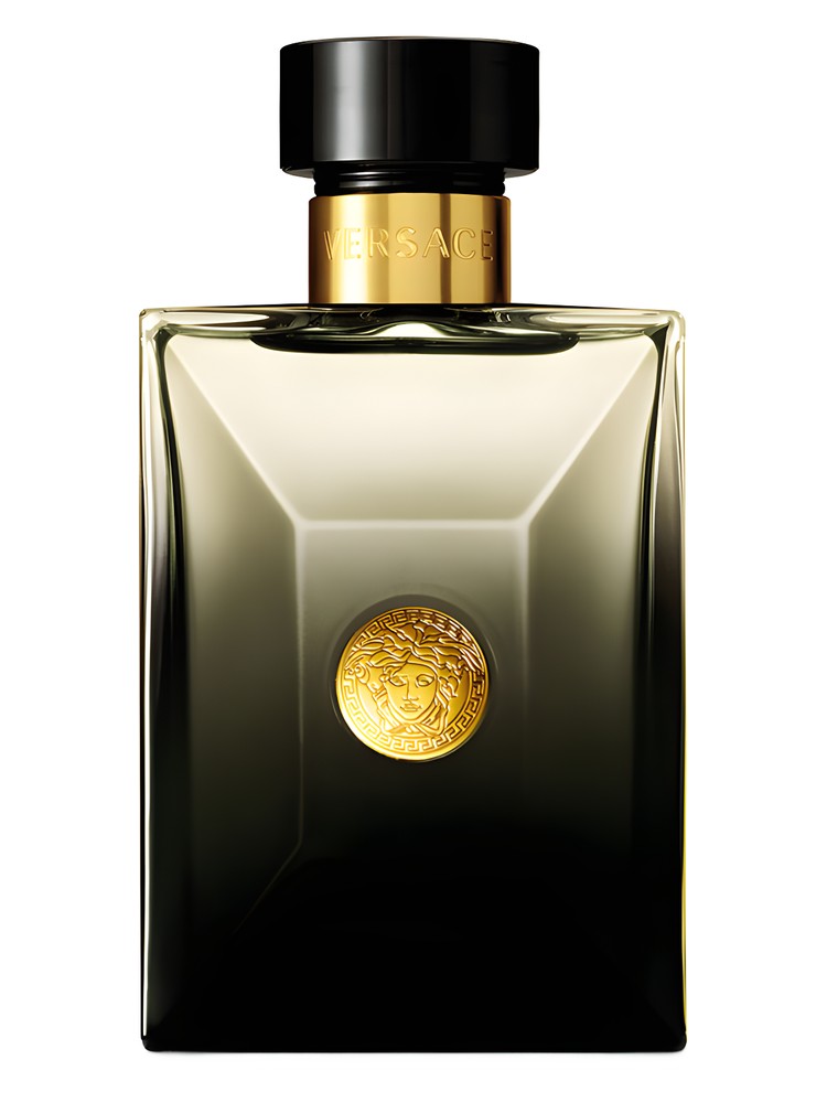versace-pour-homme-oud-noir-versace.jpg